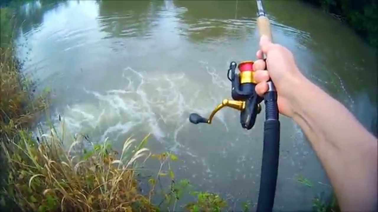 La pesca a Spinning, come divertirsi nei mari toscani