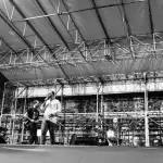 Evento Rockin'1000 con "The Coffee Killers"